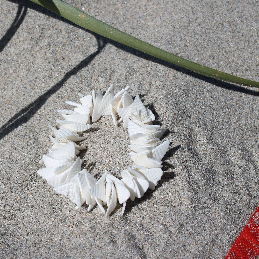 Bermuda Triangle Sea Shell Bracelets